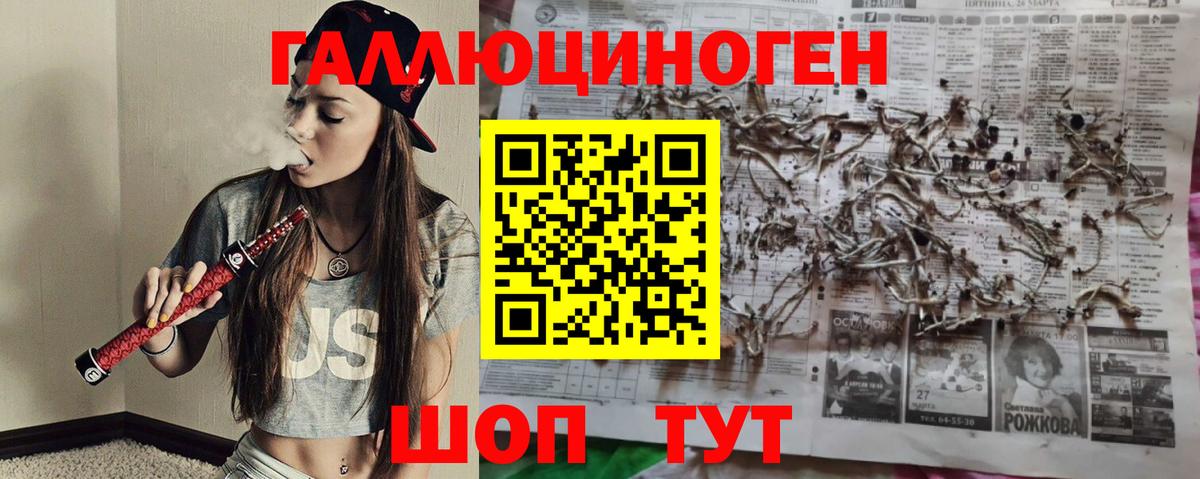 Псилоцибиновые грибы мицелий  Вход с VPN  Великий Новгород 